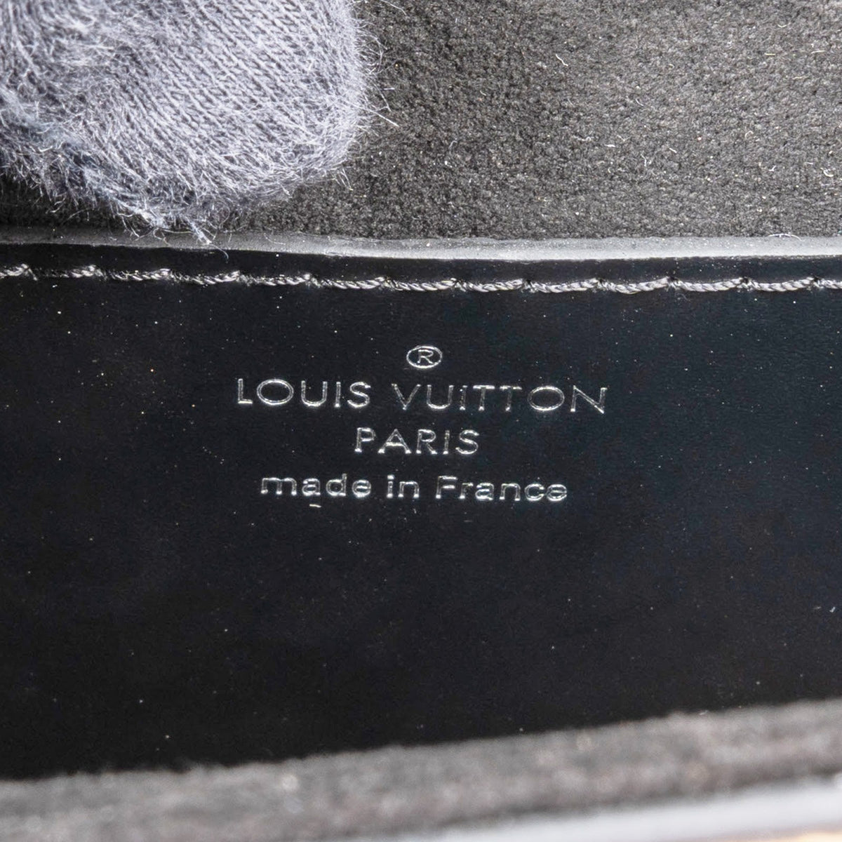 Bolso bandolera Twist MM de Louis Vuitton en lona con estampado de leopardo y gato Wild At Heart Monogram