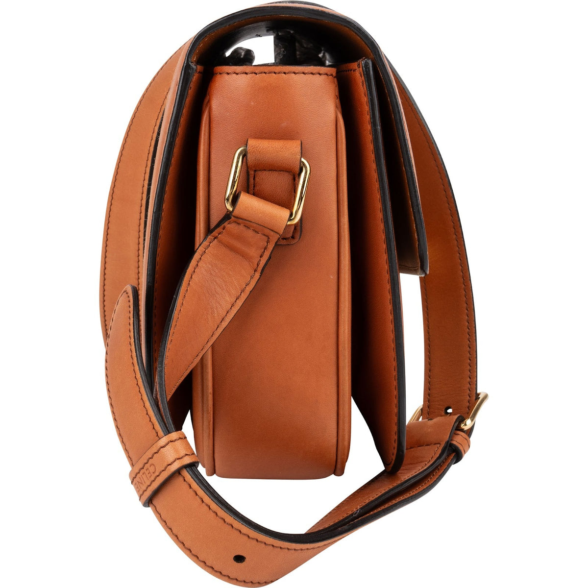 Celine Teen Triomphe Crossbody Bag in Canvas & Calfskin