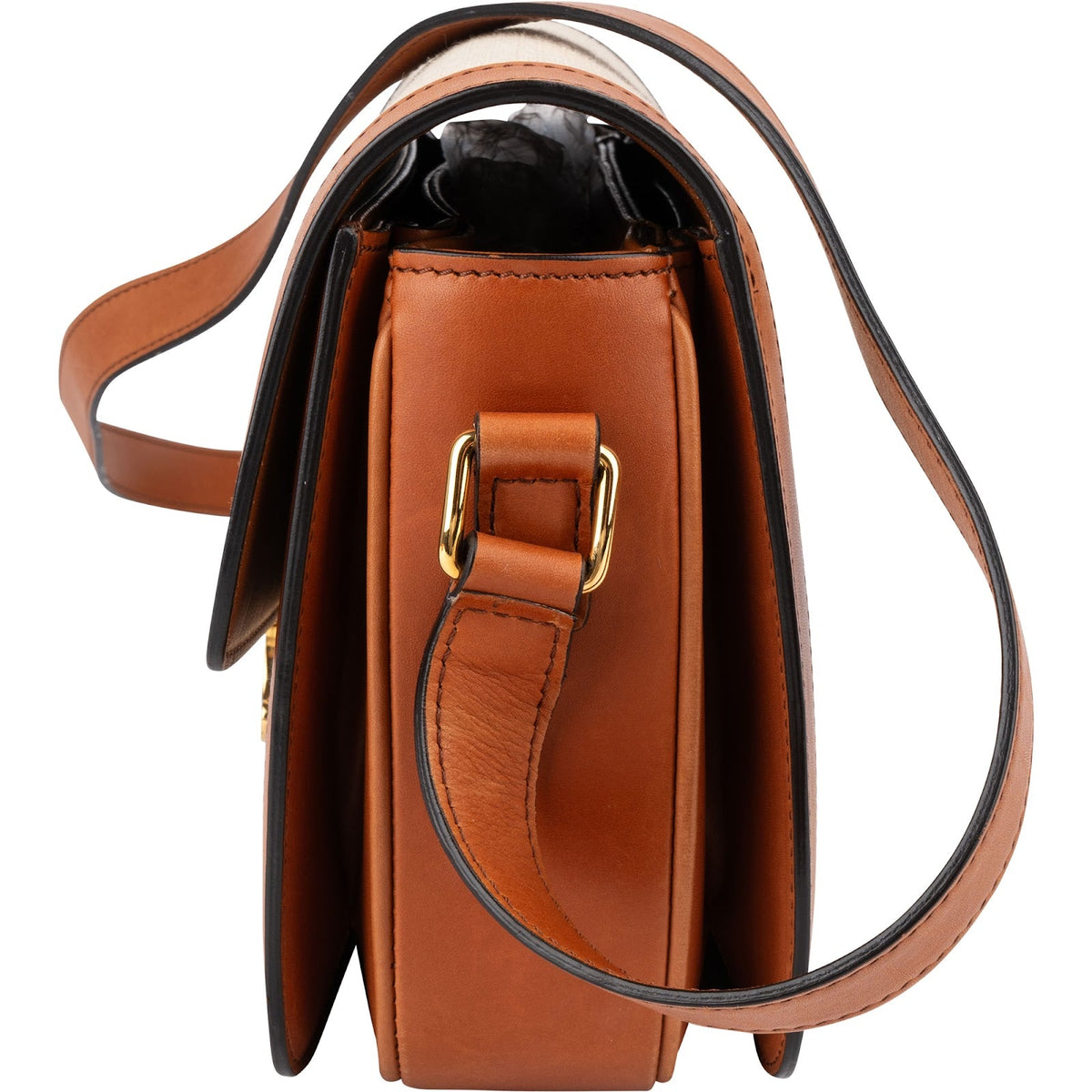 Celine Teen Triomphe Crossbody Bag in Canvas & Calfskin