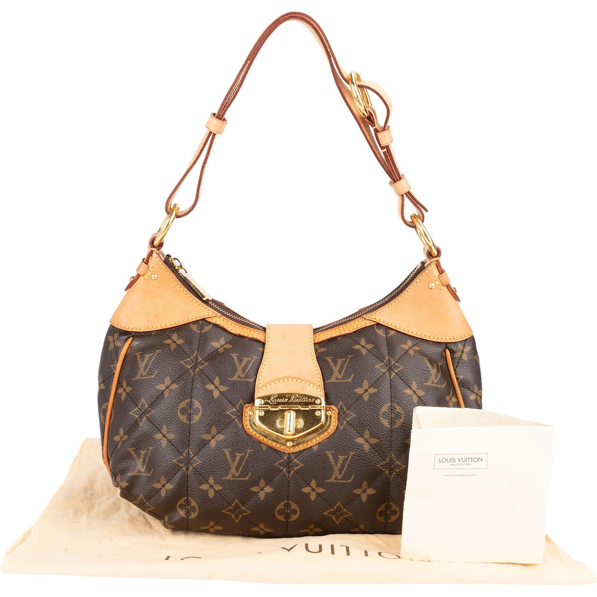 Louis Vuitton Etoile City PM aus Monogram Canvas – Ansicht 2