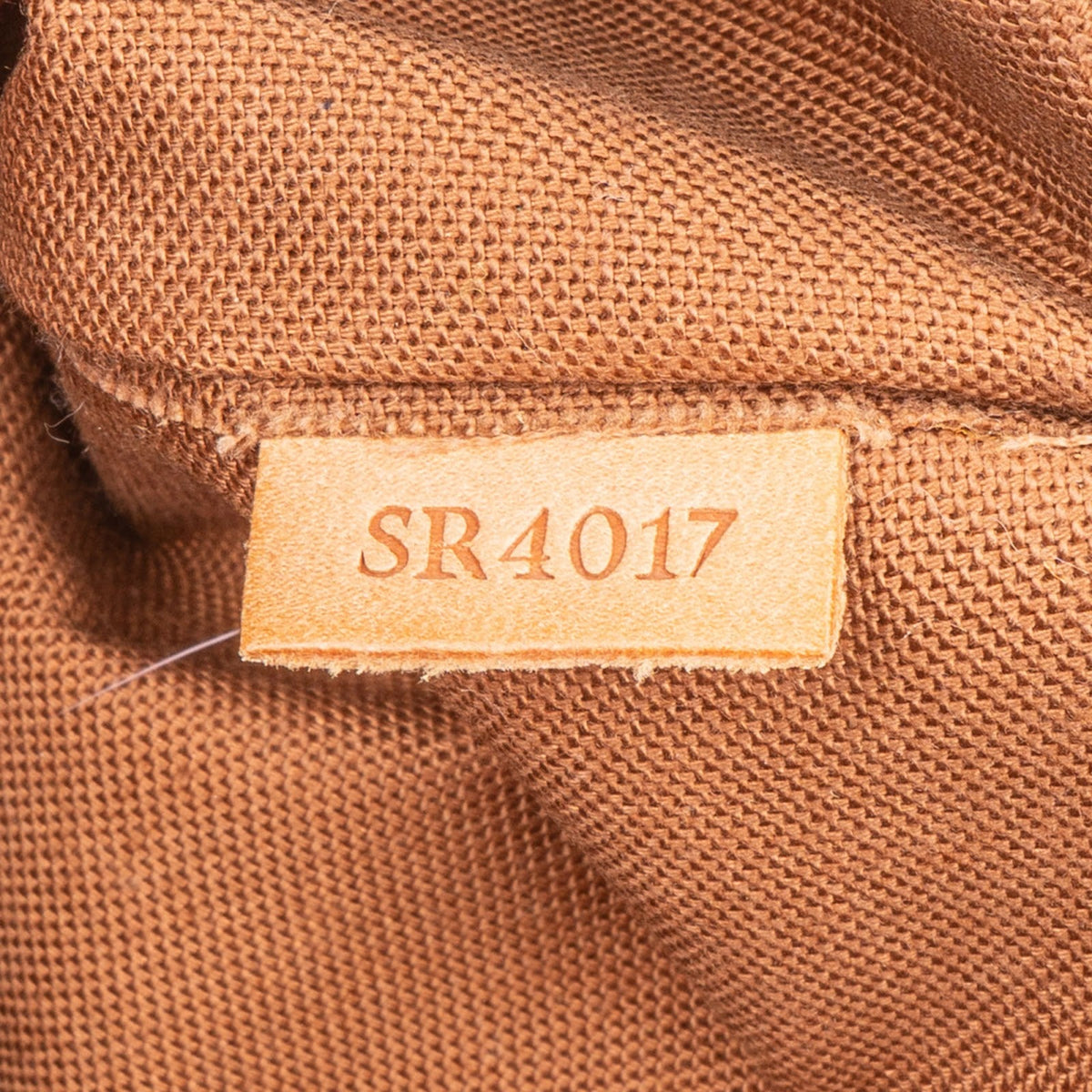 Sac à main Palermo PM en toile Monogram Louis Vuitton