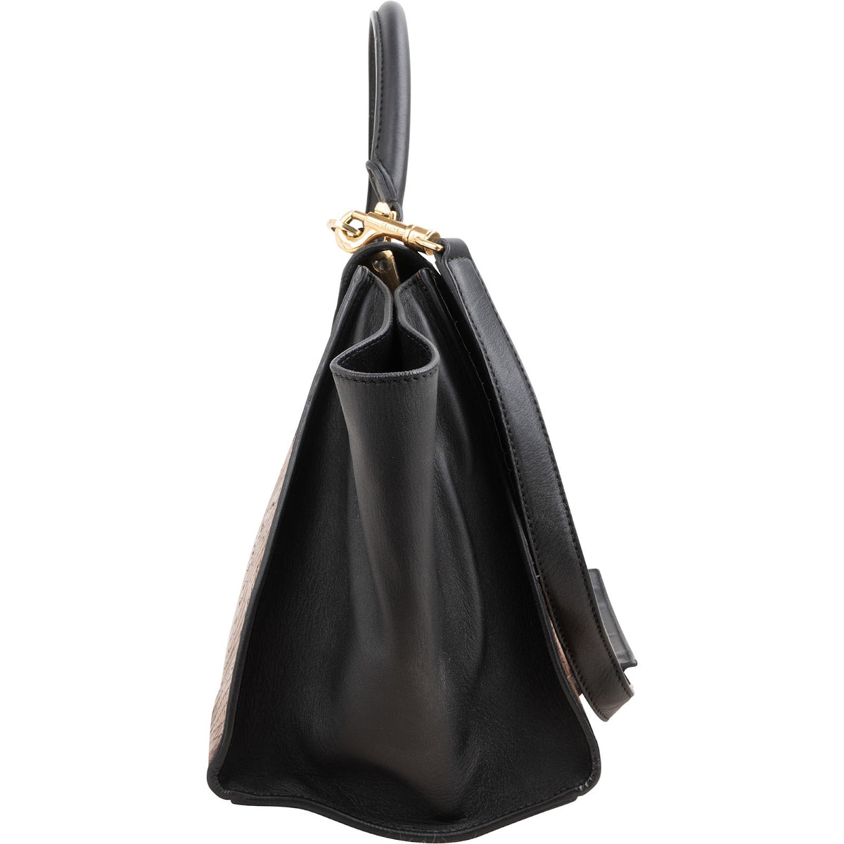 Céline Python Leather Trapeze Handbag