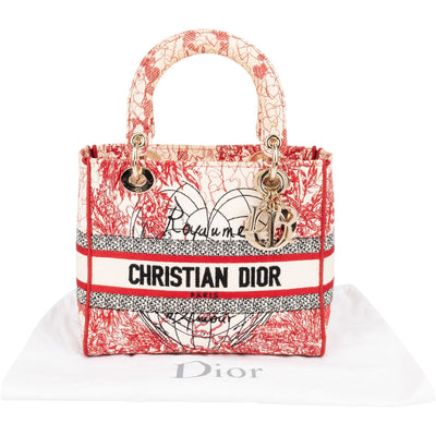 Christian Dior Embroidered Canvas D-Lite D-Royaume d'Amour Handbag