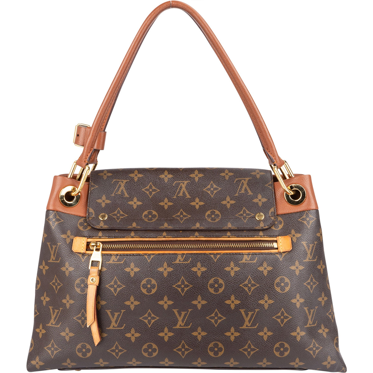 Louis Vuitton Monogram Canvas Olympe handtas