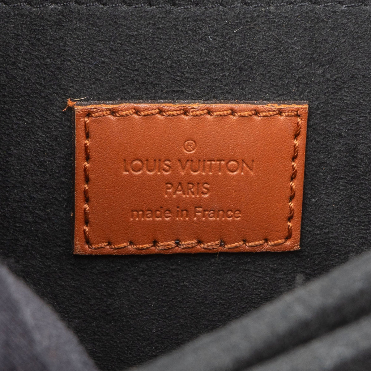 Borsa a spalla Louis Vuitton Dauphine MM in tela Monogram Autres
